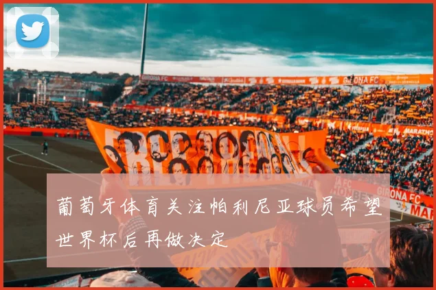 葡萄牙体育关注帕利尼亚球员希望世界杯后再做决定